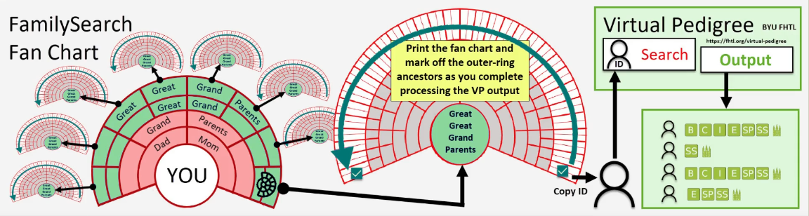 Virtual Pedigree process for searching family lines across twelve generations